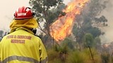 Australian bushfires could be more intense and extensive than current predictions, study suggests