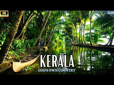 Kerala : God's Own Country | Kerala Cinematic Travel Video | Kerala Story ft. Kerala Tourism