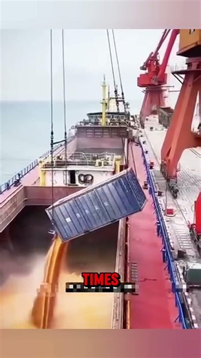 Why Don’t Grain Ships Use Nets? The REAL Reason!”