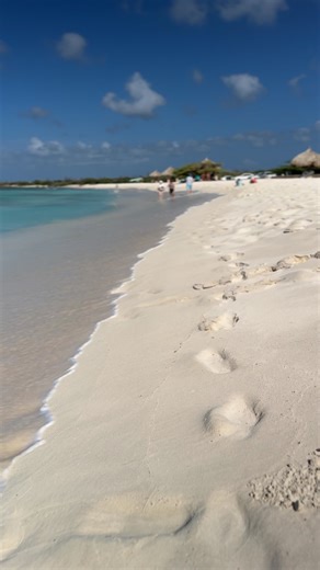 Take a deep breath and unwind at Arashi Beach, one of Aruba’s most peaceful gems. ✨ Just north of the California Lighthouse, this quiet stretch of soft white sand and crystal-clear water is perfect for a relaxing swim or a serene snorkeling session. ☀️ 🌱 Let’s keep paradise pristine: – Use reef-safe sunscreen 🧴 – Don’t leave trash behind 🗑️ – Respect the dunes and marine life 🌾🐚 Leave only footprints, take only memories. 💙 #Travel #TravelTip #Vacation #BestBeaches #Aruba | Aruba