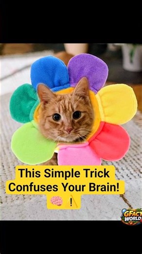 This Simple Trick Confuses Your Brain! 🧠⚠️ #shorts