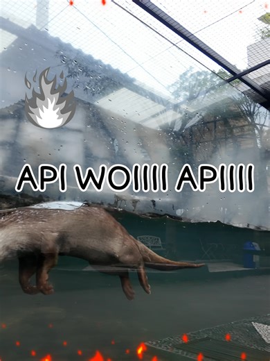 Jangan lupa nyalakan api besss, udah berapa streak nihh sobat suraloka #zoo #suralokainteractivezoo #streaktiktok