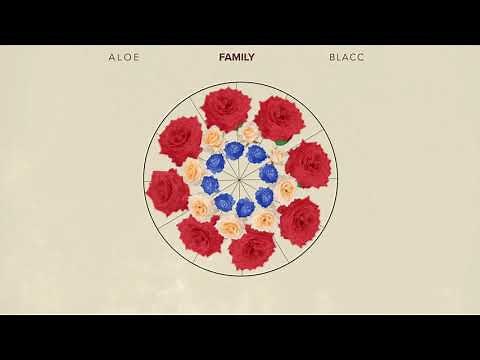 Aloe Blacc - Family (Official Audio Visualizer)