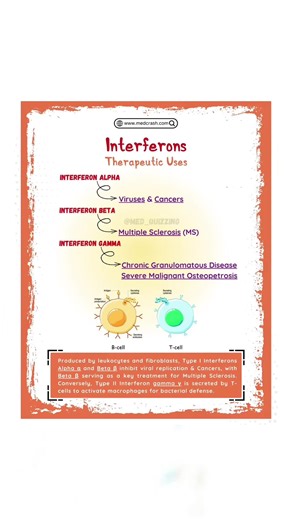 Full Mnemonic Flashbook & Flashcards for Medical Students