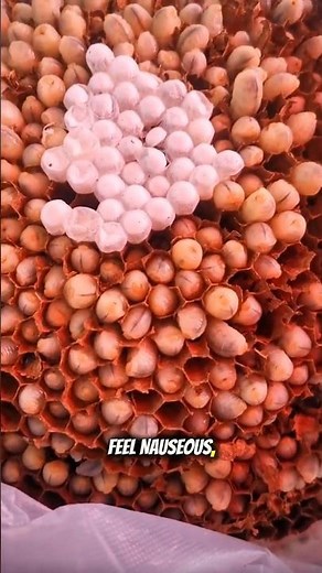Trypophobia test
