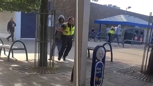 Shocking moment PCSO attacked by hooded individual in Crawley