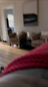 Forgotten Dogs Rescue on Reels