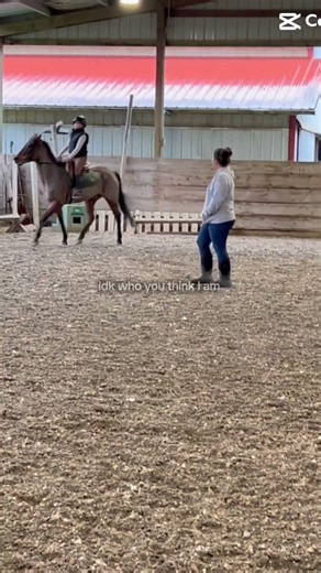 She is not slow 😅 #horse #equestrianjourney #equestrian #horsefan #horsegirl