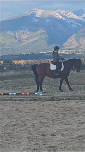 🎥 Working Equitation Practice – The Pen Challenge!