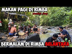 The Most Extreme Journey, Hunting Wild Bee Honey In The Jungle