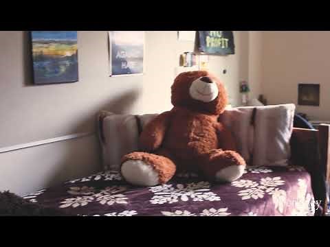 UC Berkeley Housing Mini Tour: Channing Bowditch Two Bedroom Apartment