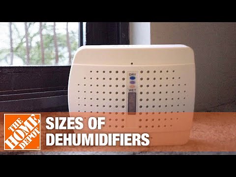 Best Dehumidifiers for Your Home | The Home Depot