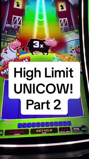 Stacey's High Limit Slots on TikTok