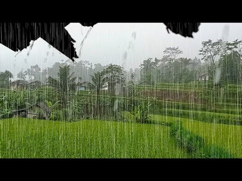 "Awesome Rain Sounds to Fall Asleep Faster, The Best Natural Sleep Aid"