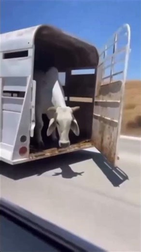 what will this print #webdevelopment #java #interviewtips #coding #education