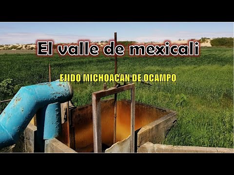 EJIDO MICHOACAN DE OCAMPO en el valle de mexicali