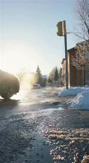 A Bright 🌅 but cold ❄️🥶 winter day.# A kindness lady rescue a grey dog#dogrescue