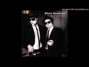 08.- I Don't Know - Blues Brothers - Briefcase Full Of Blues