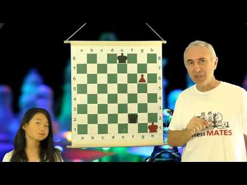 What is a Stalemate? - Chess for Beginners