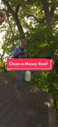 How to Remove Moss from Your Roof: A Complete Guide