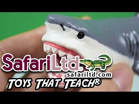 Safari Ltd® Megalodon - Wild Safari - Toys That Teach® HD