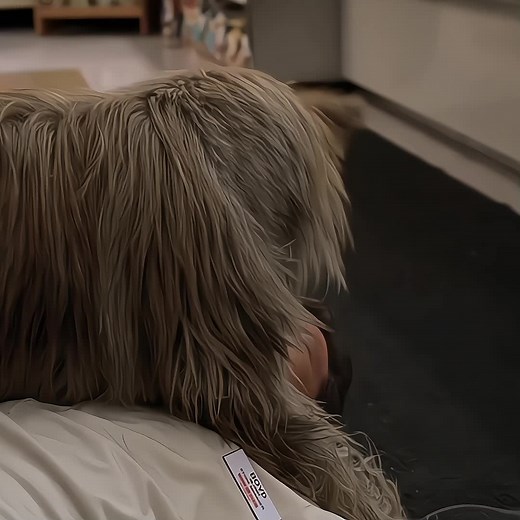 Funny Dog Moments with AnnaSophia Robb | Because of Winn Dixie