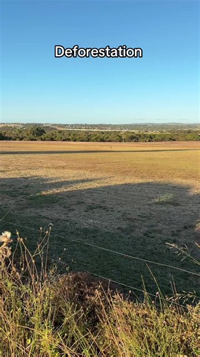 Don’t make wild life homeless