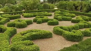 Choosing The Correct Boxwood Boxwoods are a great plant but can be finicky. But with a little planning, success is attainable. GardenSMART visits with an expert who has some ideas. Click here for an interesting video. | GardenSMART