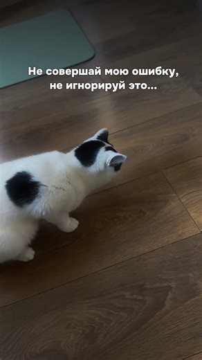 Прости милая, что игнорировала. Арт. на мальт-пасту — #WW212356 (копируй и вставляй на WB)