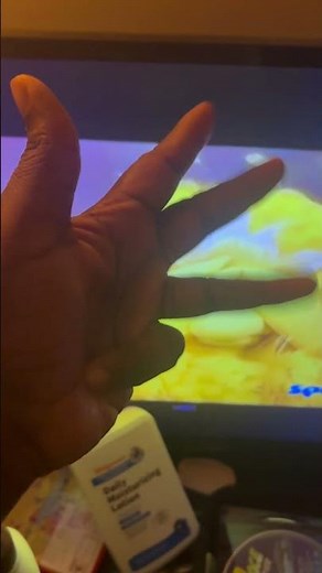 Sesame Street Journey To Ernie Bug Bird 1 to 10 Hide and Seek