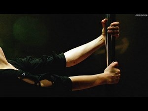 Is pole dancing for kids like climbing a tree?