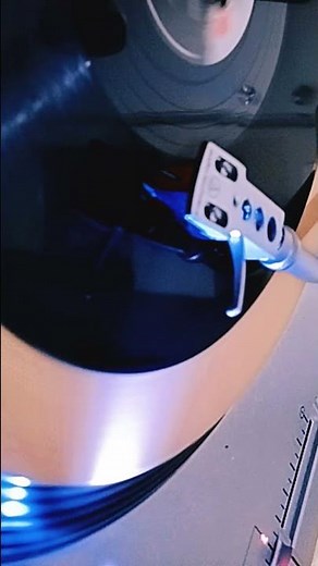 Butterfly. Andy Williams #oldiesgoldenmemories #oldclassic #downmemorylane #oldies #music