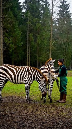 When Nature Speaks Through Voices and Tails 21