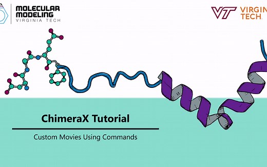 ChimeraX Tutorial- Custom Movies Using Commands | Brown Lab
