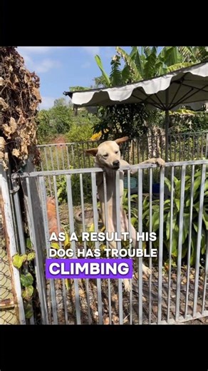 This Simple Fence Trick Keeps His Dog from Escaping 🤔
