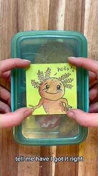 How to draw an AXOLOTL!!! #axolotl #howtodraw #artforkids #minecraft #squishmallows #funart