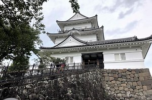 小田原城址公園の楽しみ方：天守閣までのおすすめルートと駐車場情報