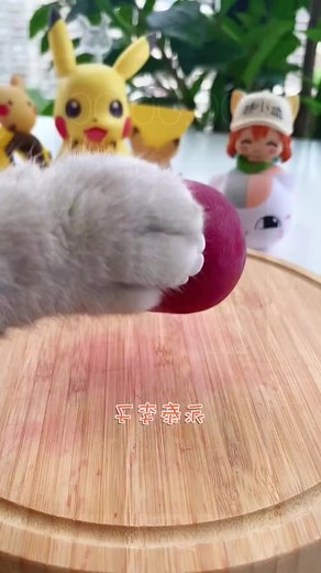 #foryou #cat #cuite #lovecat