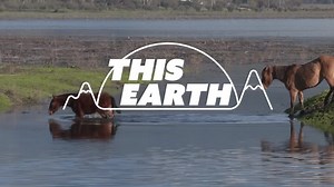 Drought-hit lakes in Chile come back to life after downpours