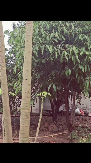 Está lloviendo: ideas rápidas para abrigarse y evitar el frío