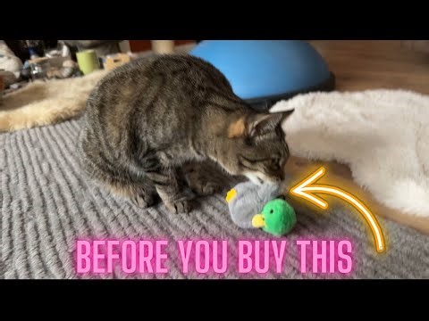 My Cats Go Crazy for This Flapping Bird Toy!