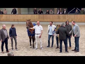 Goodbye Alexandro P: KWPN Preferent Gelders stallion - April 15, 2023 in Ermelo