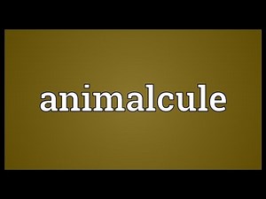 Animalcule Meaning