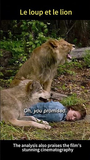 The Wolf and the Lion (2021) #movie #fly