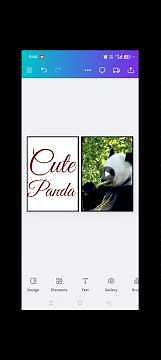 Cute Panda Video Editing Tutorial | Canva Beginner Friendly Design #design #Canva #panda