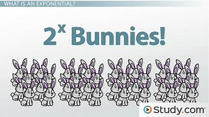 Exponentials, Logarithms & the Natural Log