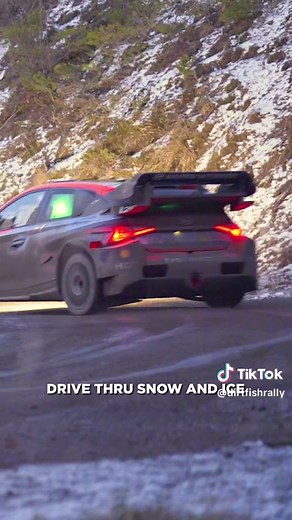 Monte Carlo Rally Testing Experience