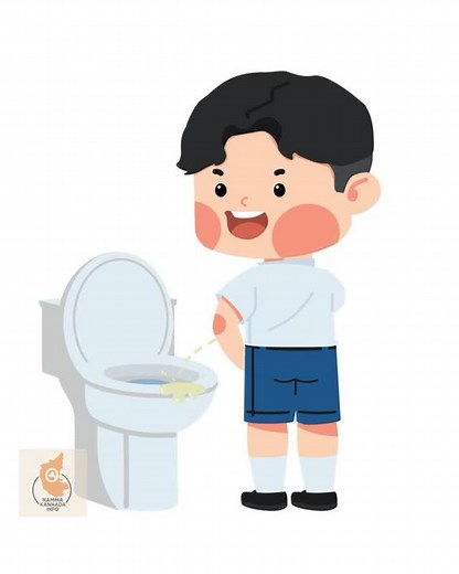 namma kannada info on Instagram: "types of pee ಉಚ್ಚೆ ಆರೋಗ್ಯ #kannada #informationinkannada #education #war #indiavspackistan"