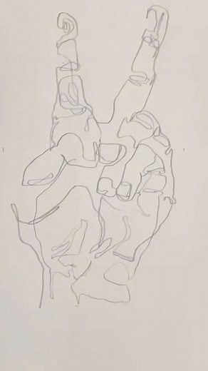 Mark Liam Smith on Instagram: "Drawing School! Here’s how to do blind continuous contour drawing. #drawing #drawingtip #contourdrawing"