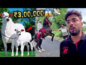 PUR! ZINDAG! MA! NAH! MIL! ITN! SUNDAR 0R MEHENG! C0W😨😍( THARPARKAR) PEHELWAN FARM$ PR L€ AAU🙏🏻?￼